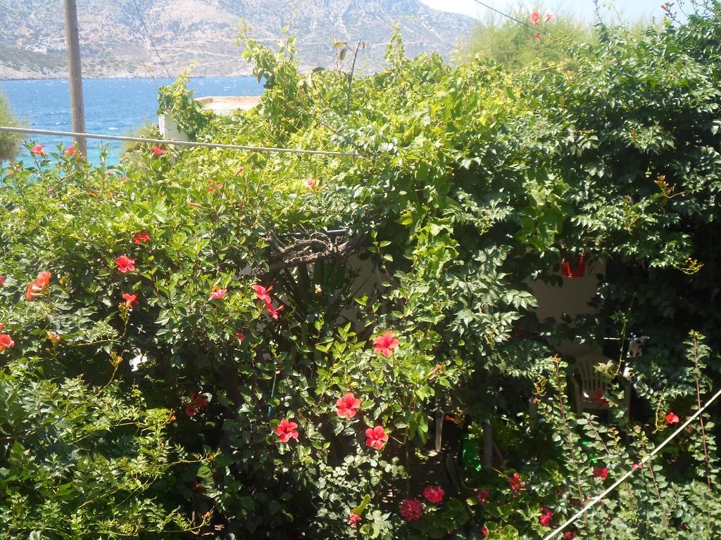Aparthotel Costareli Fourni Ikaria Exterior foto